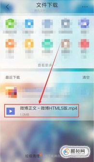 怎么把微博上看到的视频下载下来?