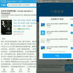 电脑网页版胖鸟影视怎么下视频？