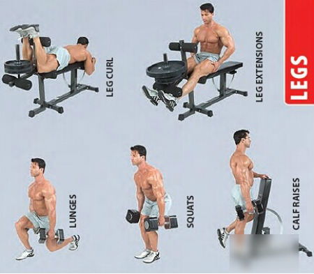 求哑铃正确锻炼方法图