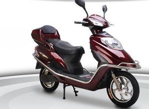 电动车哪个牌子好