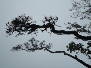 民族气节的意思