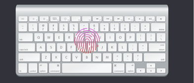 Mac如何设置默认输入法？