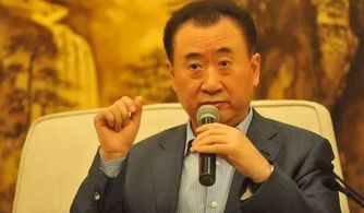 万达老总是谁？