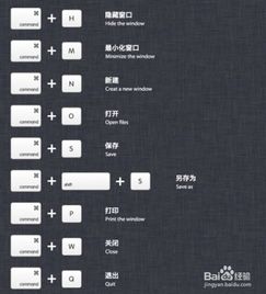 苹果电脑快捷键有哪些?mac系统快捷键大全详细介绍(