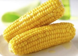 玉米热量高吗?减肥可以吃玉米吗，玉米热量高不高