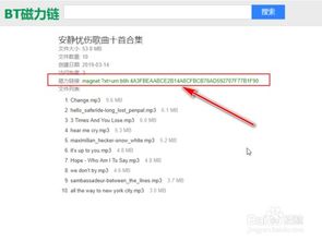 迅雷磁力链接怎么使用？