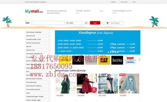 国外购物网站app,海外购物网站哪个最好