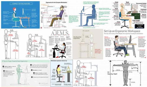 什么是人体工学
