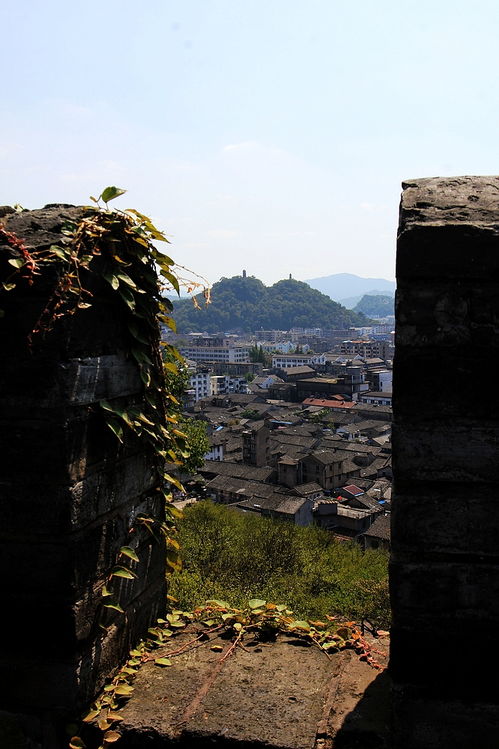 长城外，古道边，芳草碧连天。这首诗谁写的，什么