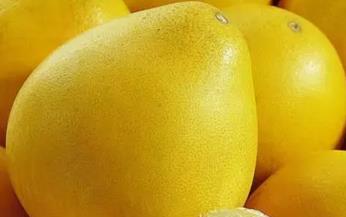 柚子皮泡水喝的功效与作用禁忌