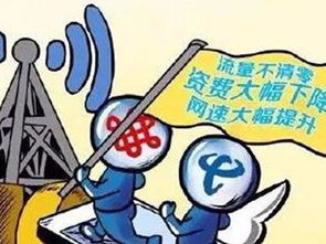 流量不清零规则,如何查看流量