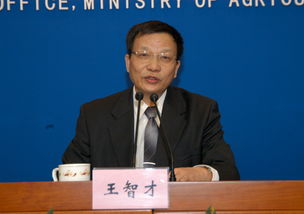 什么是司长,处长