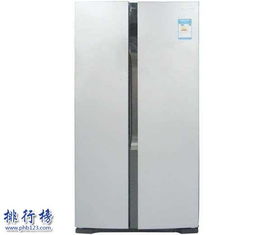 什么品牌冰箱质量好排第一名,哪个牌子的冰柜质量好又省电