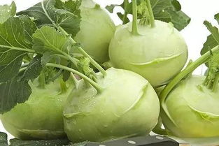 芥菜疙瘩有什么营养价值