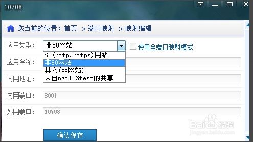 外网 佟丽娅,外网怎么上