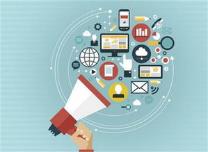 网络营销成功案例