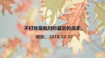 我爱你到此为止免费阅读全文