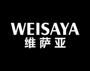 visa卡是什么意思啊