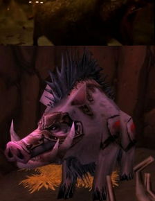 魔兽世界怎么去剃刀沼泽