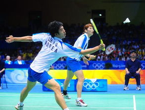 羽毛球混双世界排名