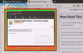 怎么在Ubuntu下安装flash插件