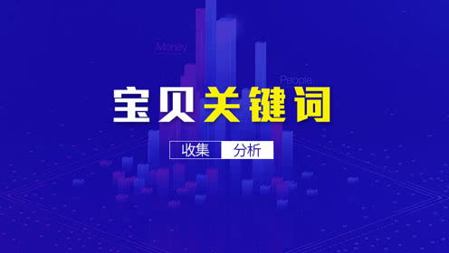 网商网的知识产权