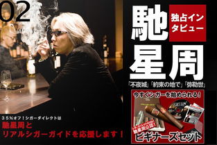 驰星周《不夜城》