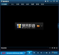 求暴风影音万能播放器