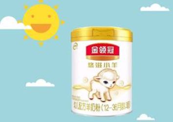 羊奶粉十大品牌排名？