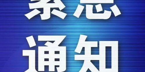 暂停是什么意思？