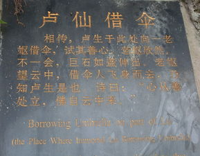 跟帖什么意思？