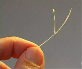 鱼刺卡喉咙喝醋有用吗 是真的吗