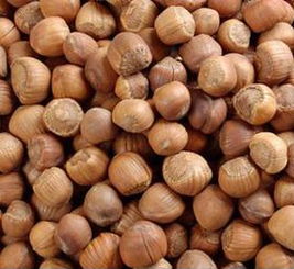 毛榛子的功效和作用