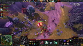 在哪看dota2天梯排名