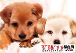 梦到被别人的狗咬到手