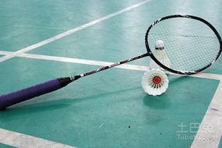 羽毛球拍品牌排名？