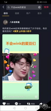 wink是什么意思中文,wink是什么意思英语翻译