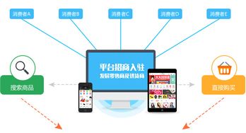 一般的B2C网站建设需要多少钱