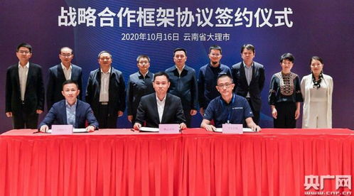 兴发集团对清华大学项目投资了吗？