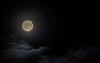 月圆 杜甫 诗歌鉴赏,月圆 翻译