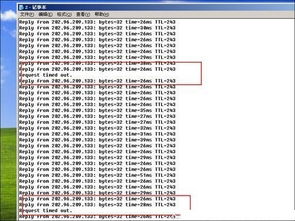深圳主DNS 是什么?202.96.134.133 202.96.128.166 