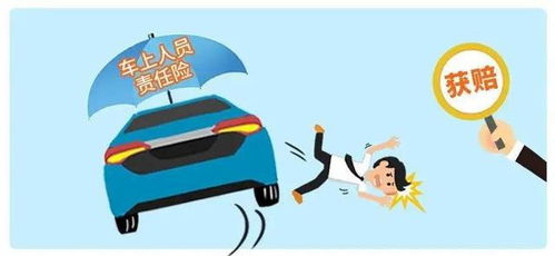 座位险和驾乘险买哪个好