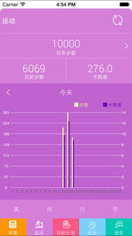 影儿旗下十二篮的风格是怎么样的？