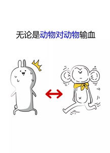 A和O有啥特殊意思嘛