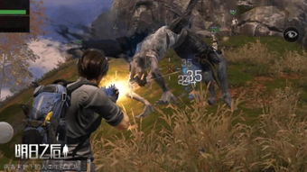 巢穴是什么意思？