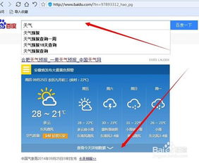 搜索引擎有哪些常用技巧