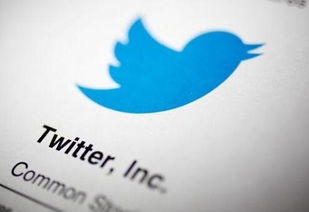 苹果手机如何使用推特？具体详细 方法请说完整