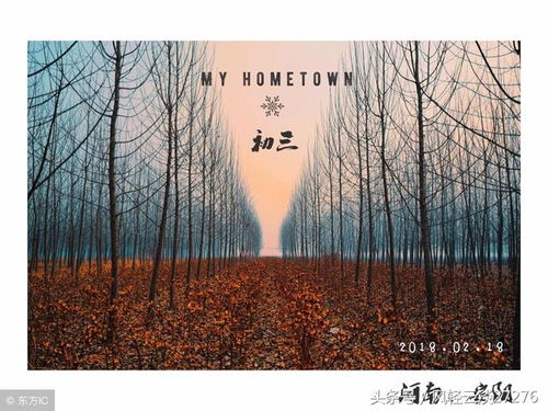 倒叙的经典例子初中课文