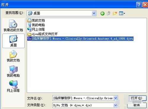 djvu文件怎么打开手机,djvu文件怎么打开安卓