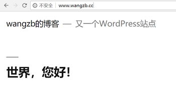 安卓手机域名重定向,域名重定向是什么意思